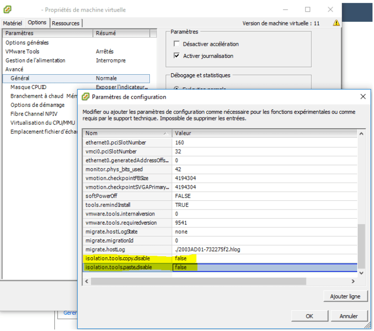 Copy and Paste into VMware