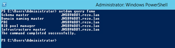 NetdomQueryFSMO