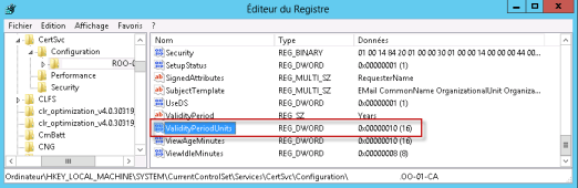 Root19